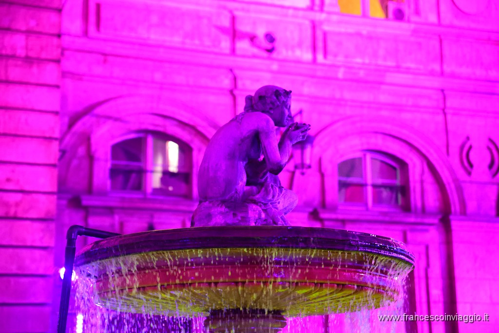 456DSC_1493.JPG
