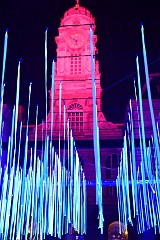 451DSC_1481