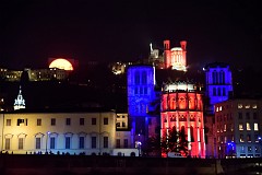 81DSC_0373