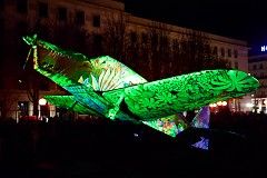 14DSC_0236