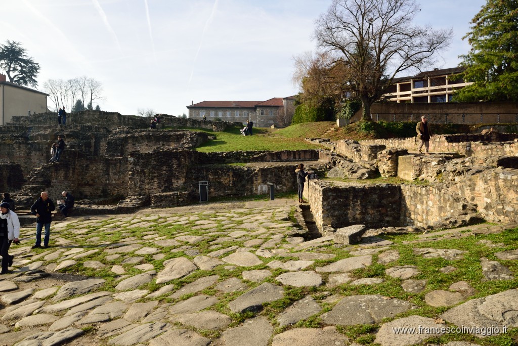 206DSC_0790.JPG