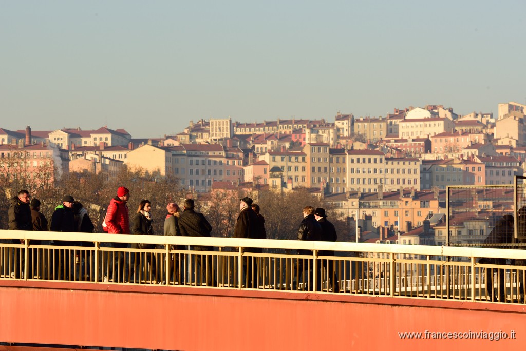 375DSC_1404.JPG