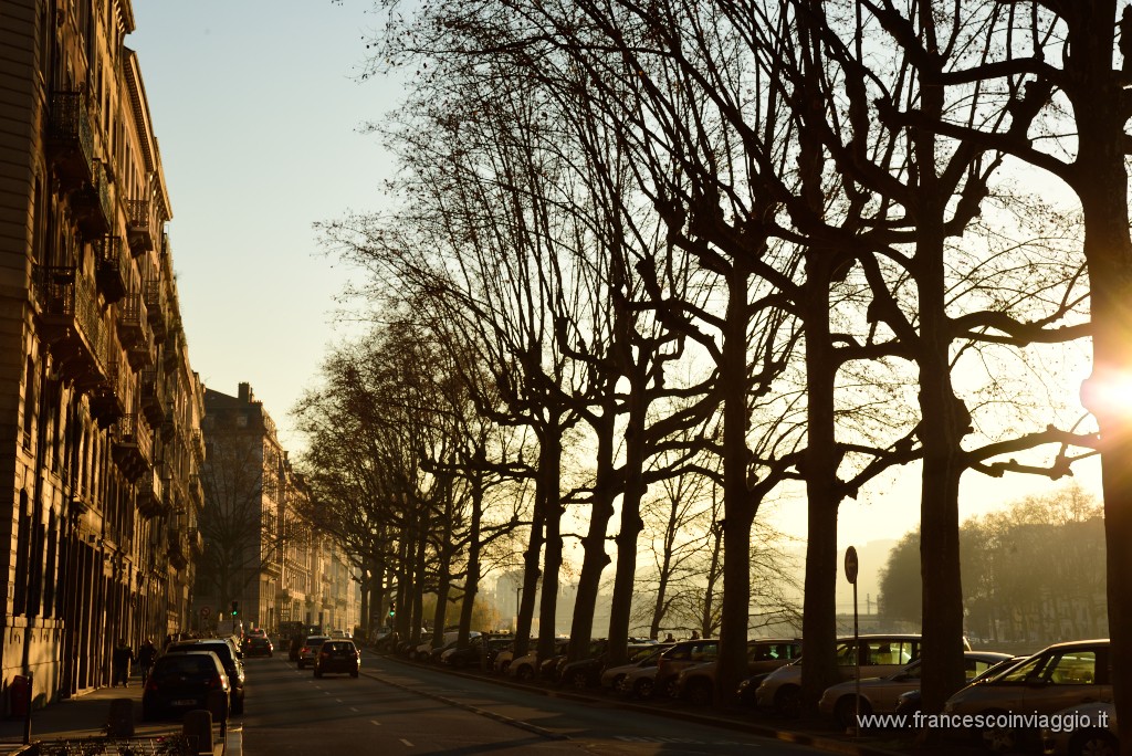 384DSC_1415.JPG