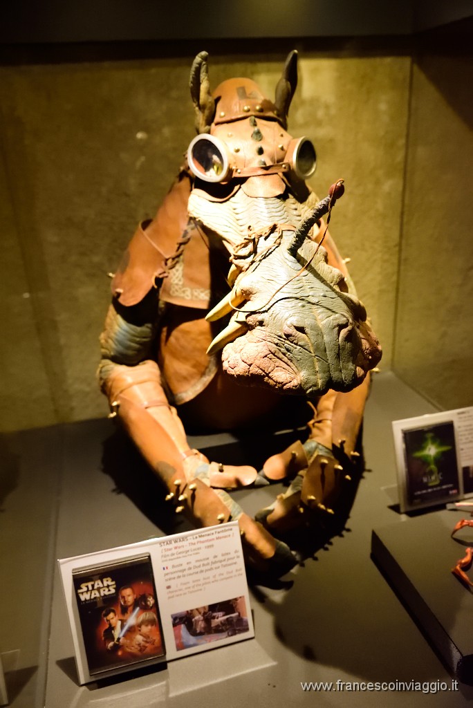 429DSC_1737.JPG