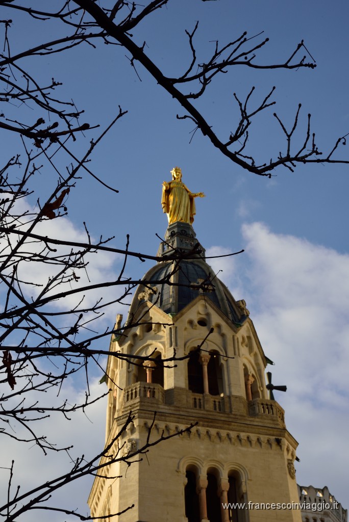 460DSC_1777.JPG