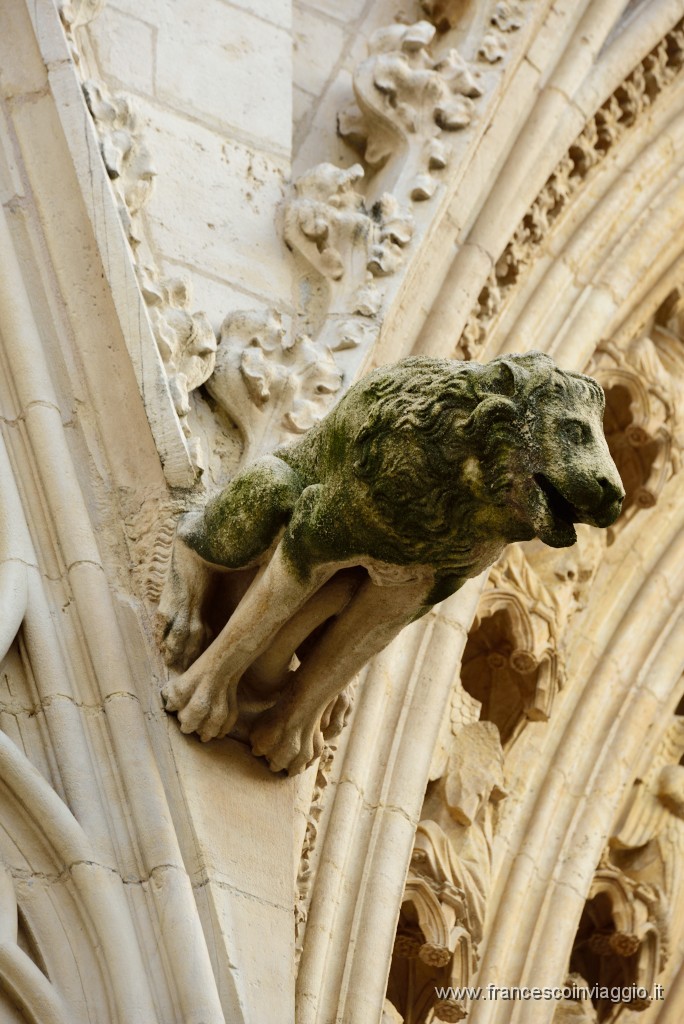 66DSC_0133.JPG