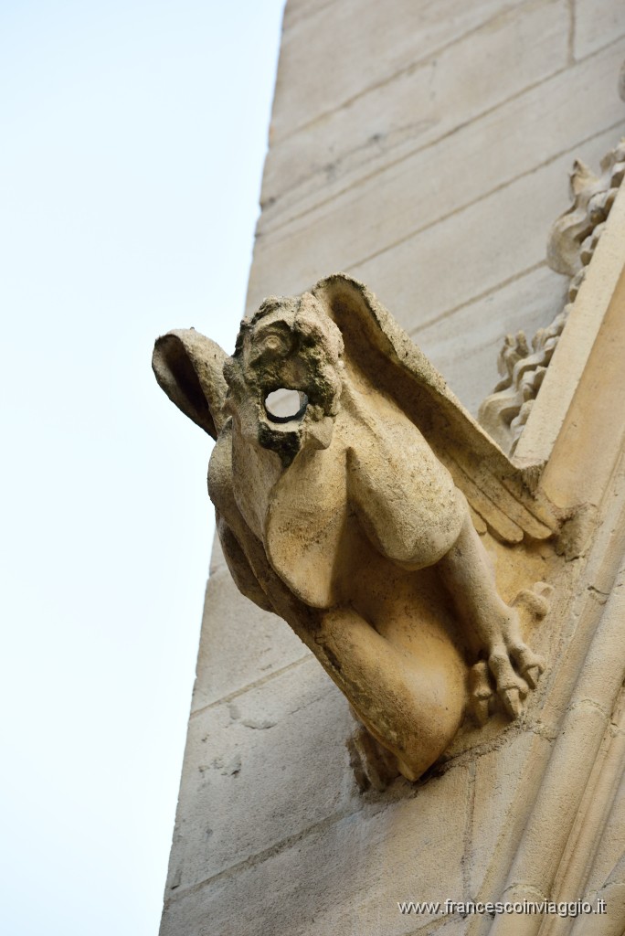 69DSC_0136.JPG