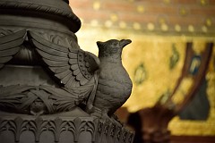 194DSC_0772
