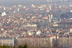 203DSC_0786