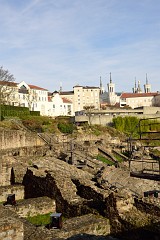 207DSC_0795