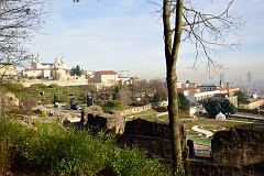209DSC_0797
