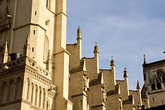 218DSC_0812