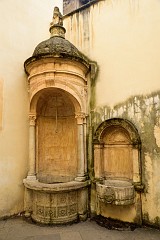 226DSC_0822