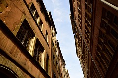 230DSC_0827