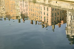 242DSC_0841