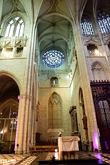 274DSC_0879