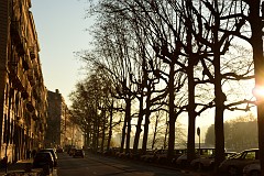 384DSC_1415