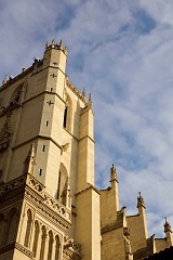 388DSC_1687