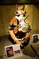 429DSC_1737