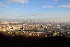 441DSC_1753