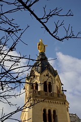 460DSC_1777
