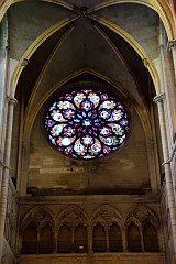 46DSC_0106