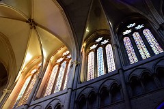 50DSC_0113