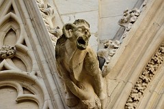 68DSC_0135