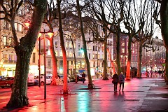 89DSC_0180