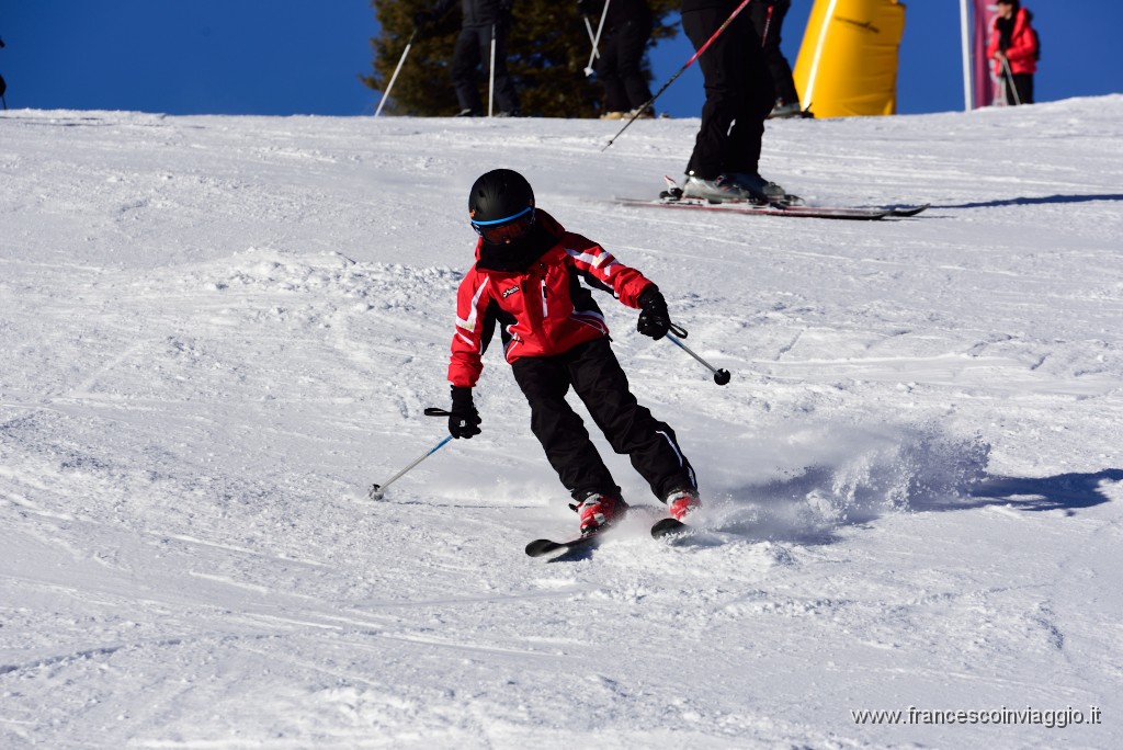 210DSC_3213.JPG