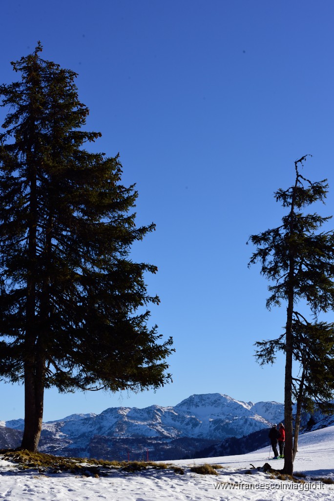 303DSC_3336.JPG