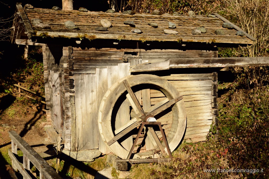 373DSC_3458.JPG