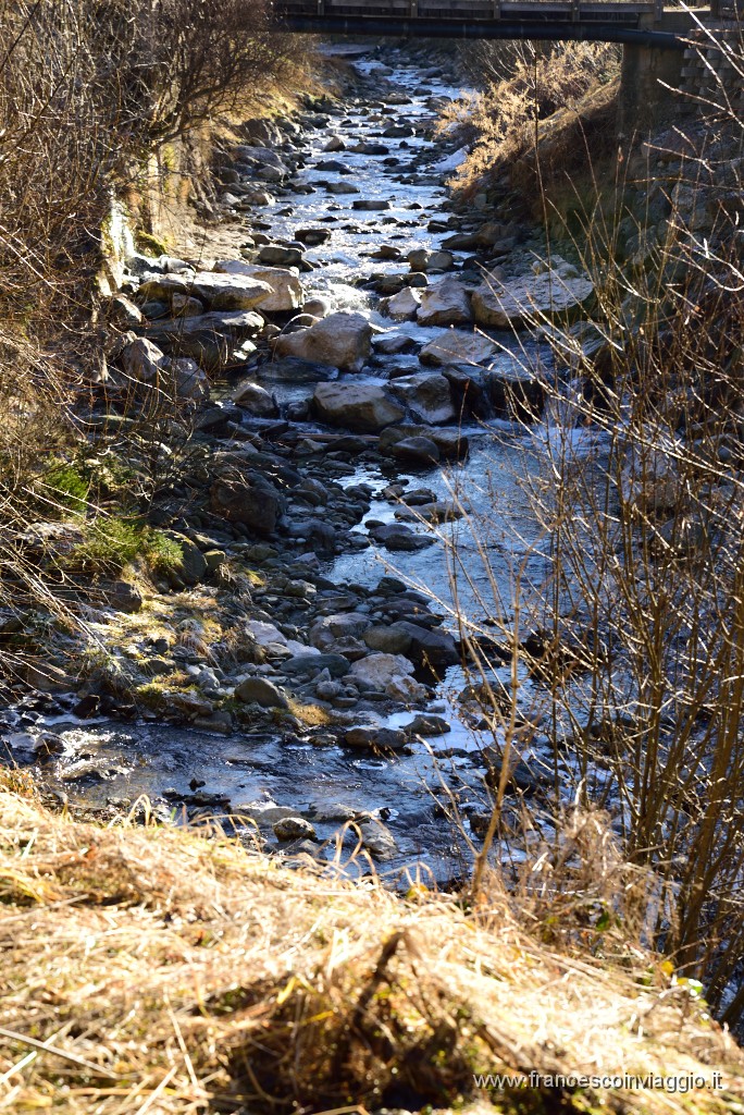 377DSC_3462.JPG