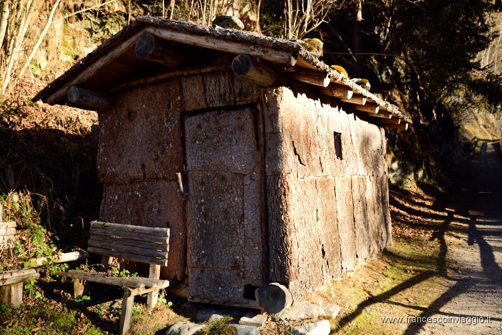 378DSC_3463.JPG