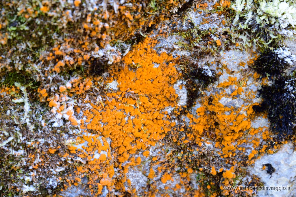 384DSC_3471.JPG