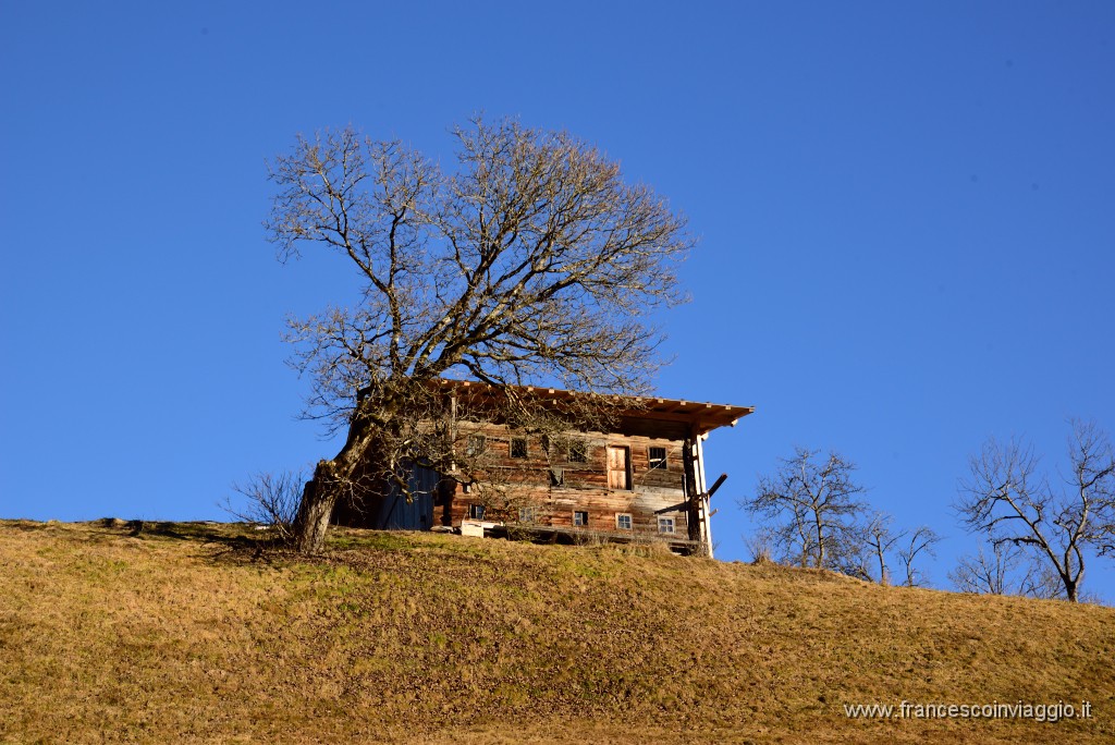 390DSC_3480.JPG