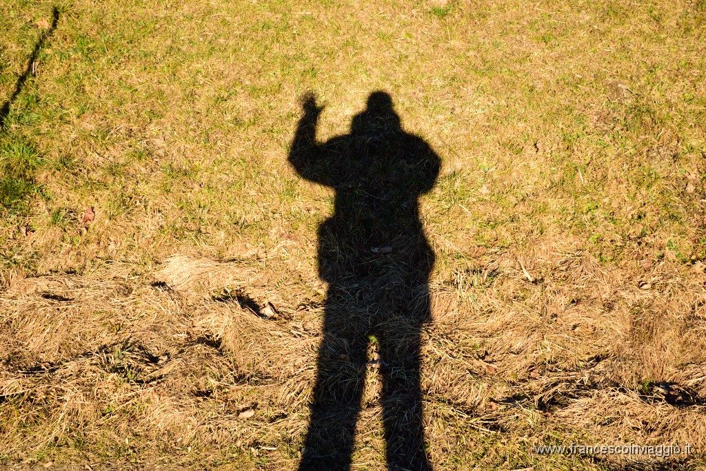 407DSC_3499.JPG