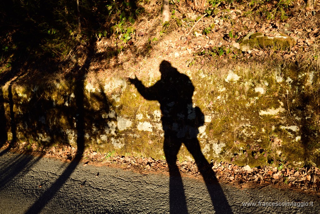 410DSC_3502.JPG