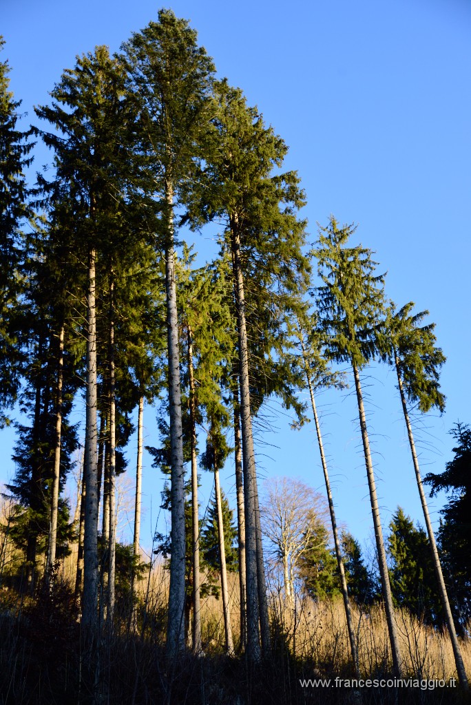 422DSC_3515.JPG