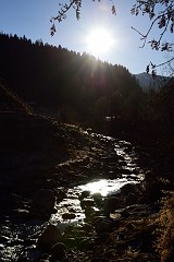 149DSC_3108