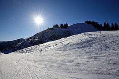 167DSC_3139