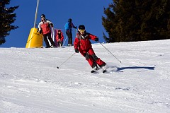 224DSC_3230