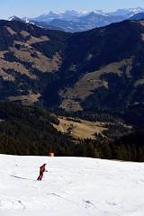 254DSC_3269