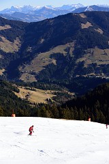 256DSC_3271