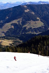 259DSC_3274