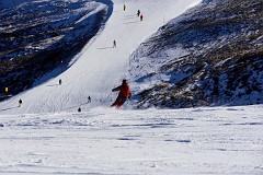 270DSC_3293