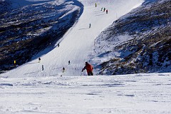 274DSC_3297