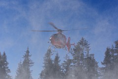 302DSC_3335