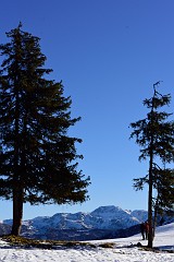 303DSC_3336