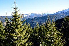 357DSC_3419